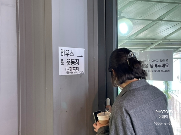 퍼피포레스트 이미지