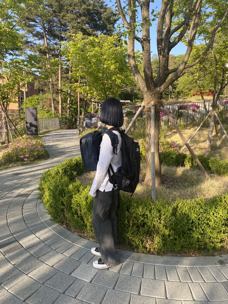 아움헤어 이미지