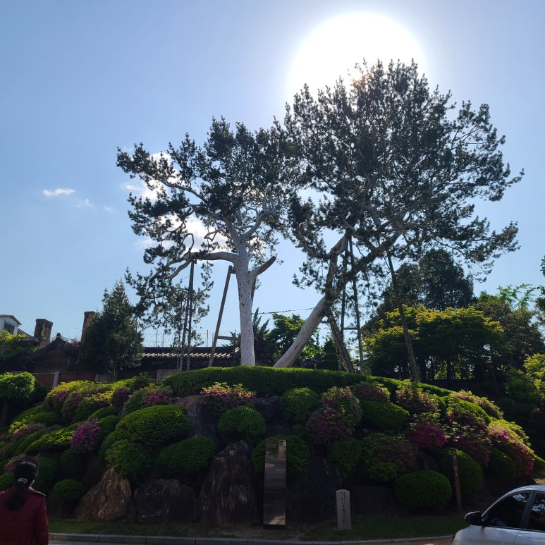창덕여고매점 이미지
