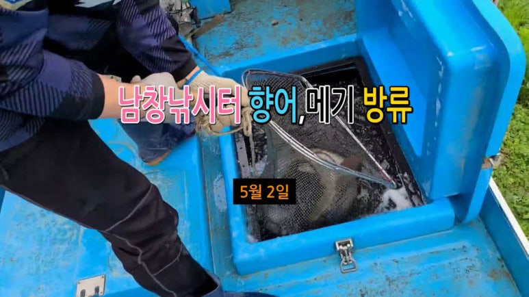 오늘은향어 이미지