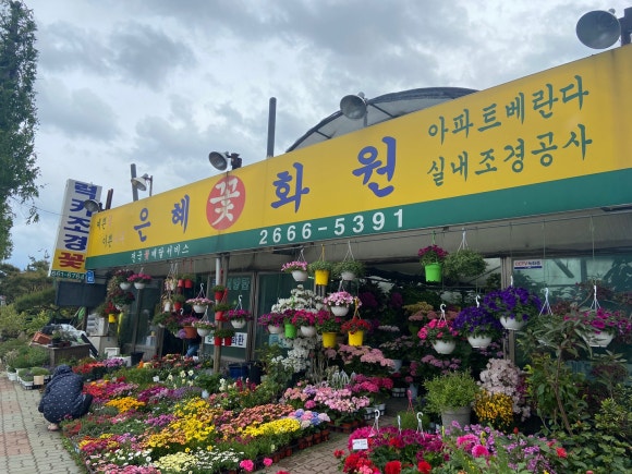 은혜화원 이미지