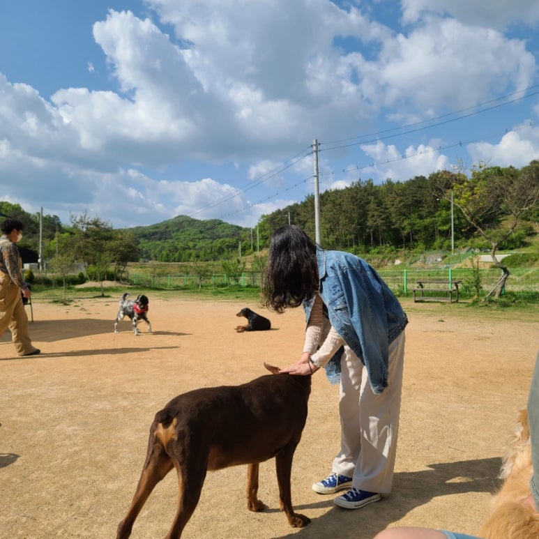 또와카페 이미지