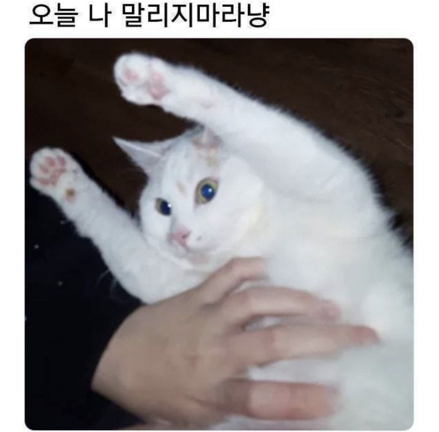 쭉심 이미지