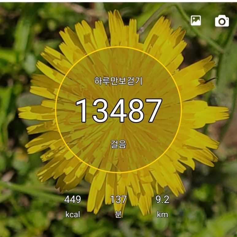 안덕가스 이미지