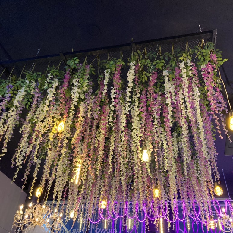 부라보맥주 이미지