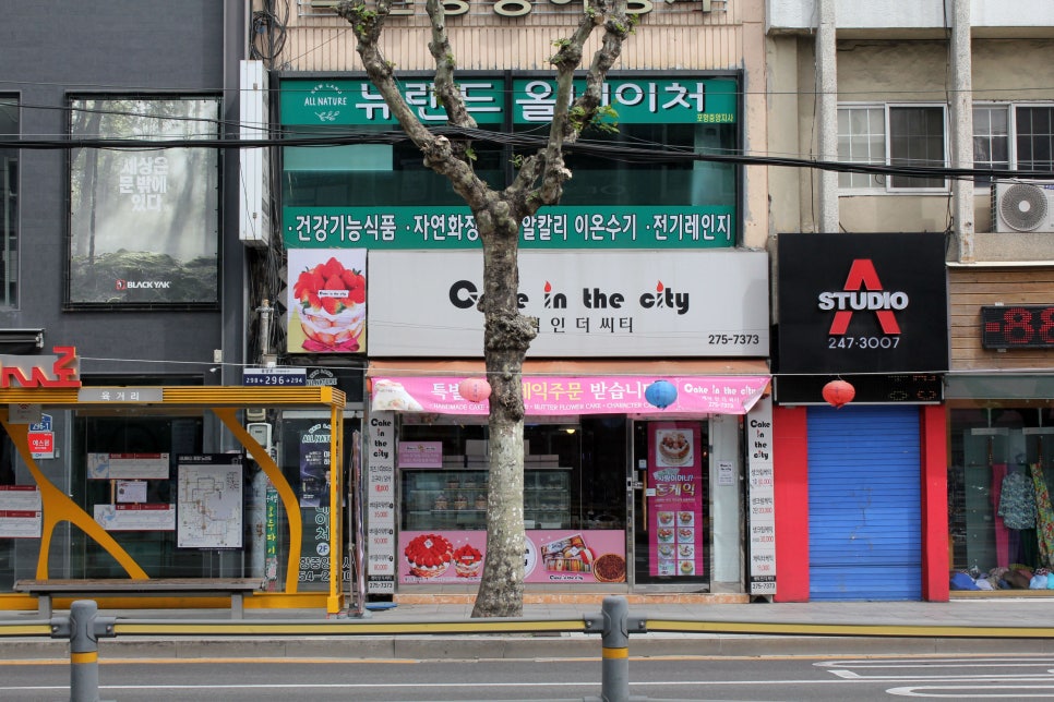 케익인더씨티 이미지