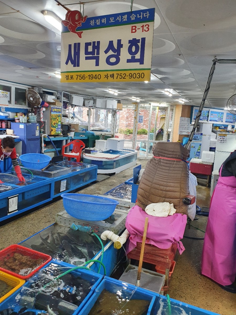새댁상회 이미지