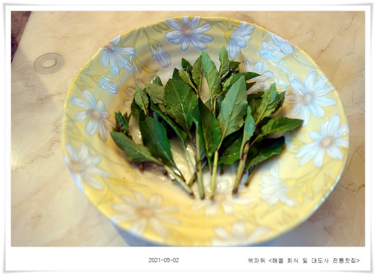 대도사 이미지