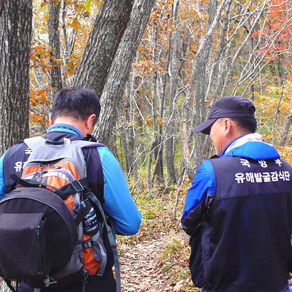 등산로 없는 산 이미지