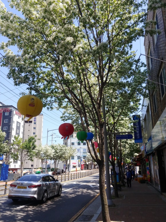 청학면옥 이미지