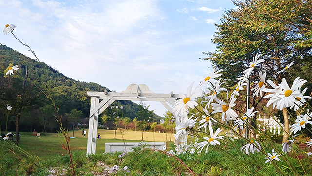 국립자연휴양림관리소 회문산자연휴양림 이미지