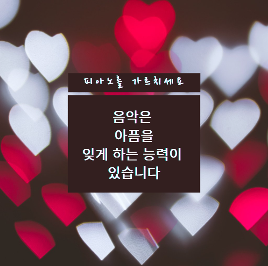 진해배화어린이집 이미지