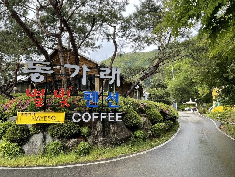동가래별빛 이미지