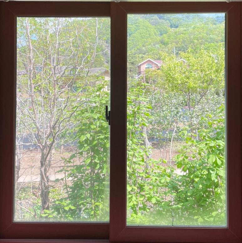 동가래별빛 이미지
