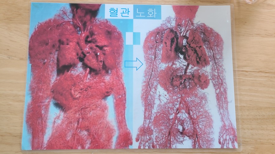 수제정원 이미지