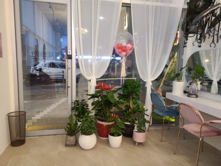제르비안 이미지