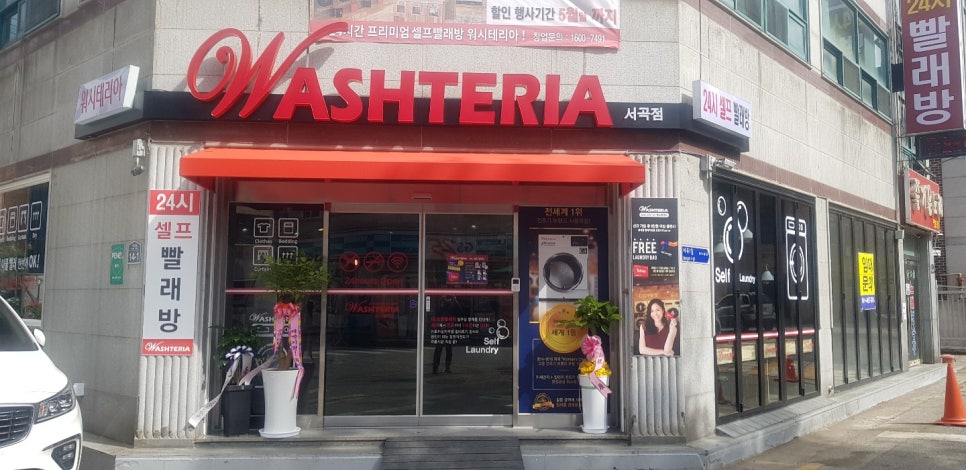 워시테리아전주 이미지