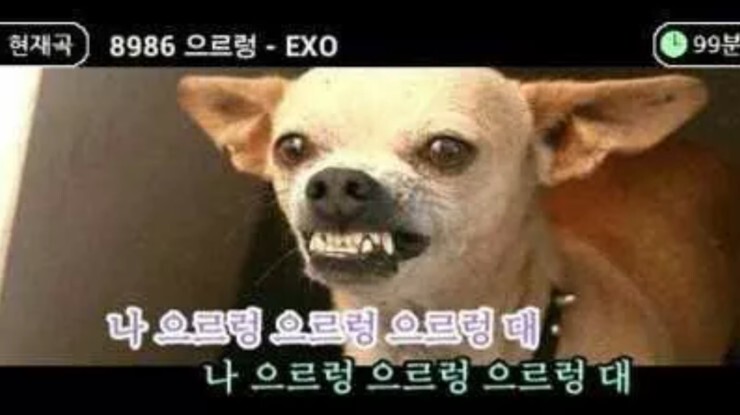랑이 이미지