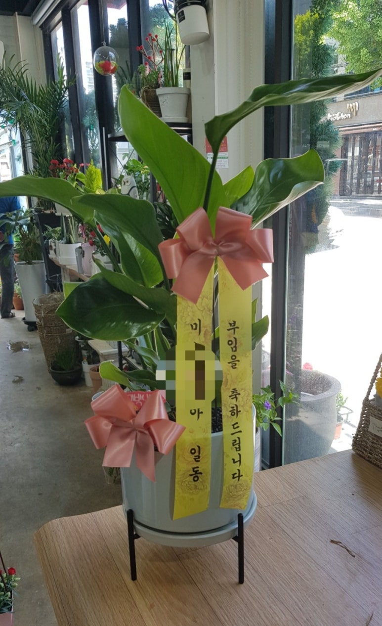 온누리꽃집 이미지