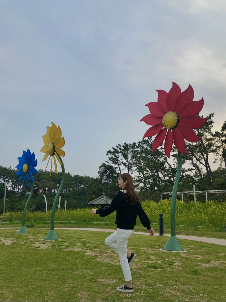 해뜨는보리밥집 이미지