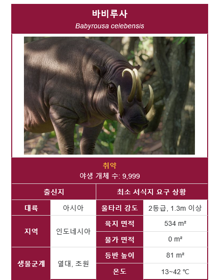 디자인팩주 이미지