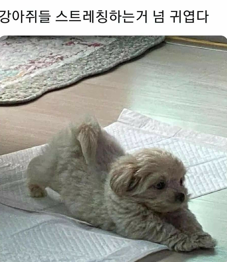 뭉탱이 이미지