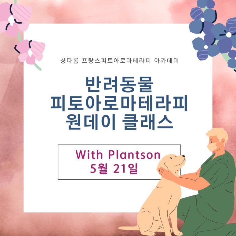 클라스아로마테라피 이미지