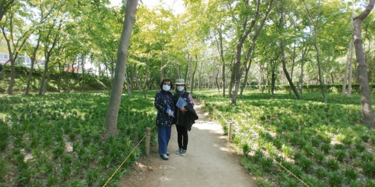 보라정원 이미지