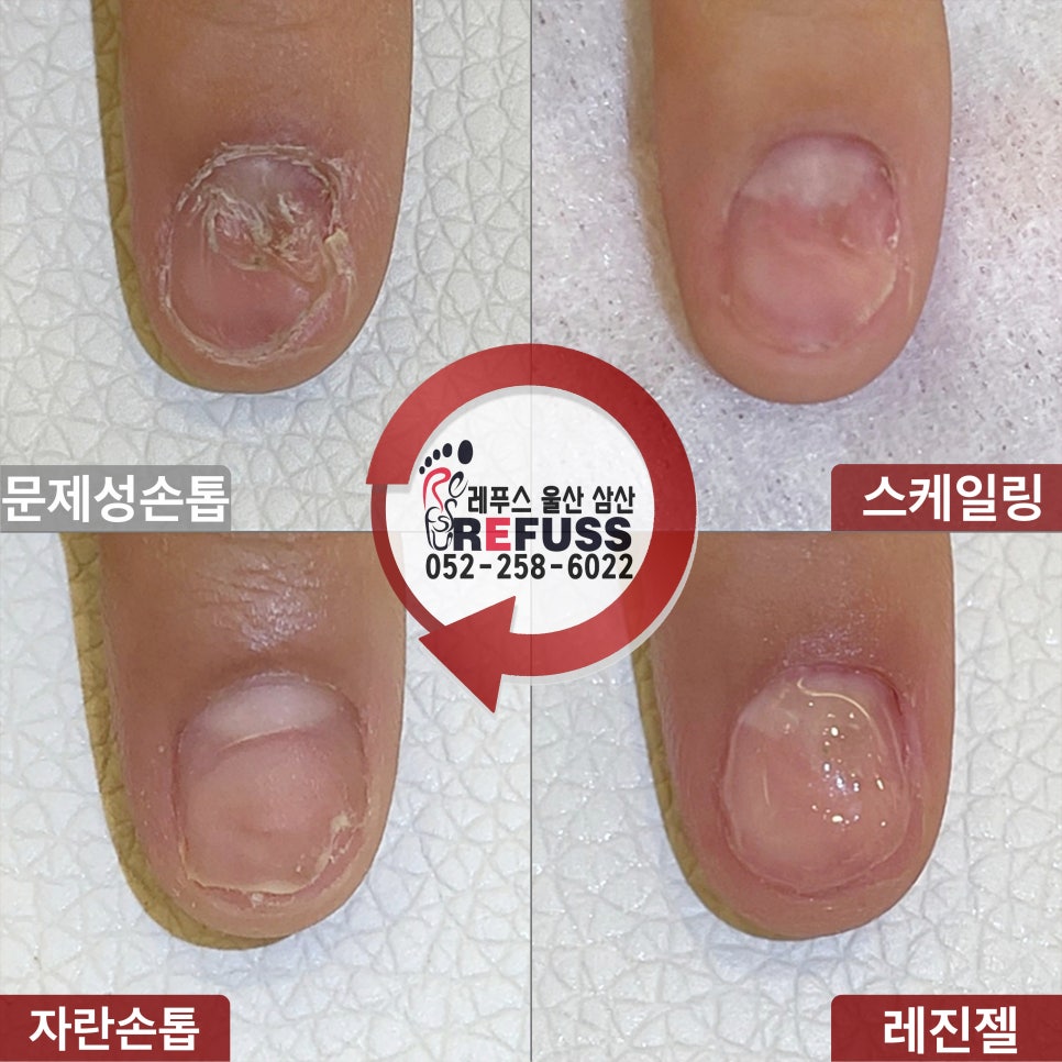 레푸스울산삼산점 이미지