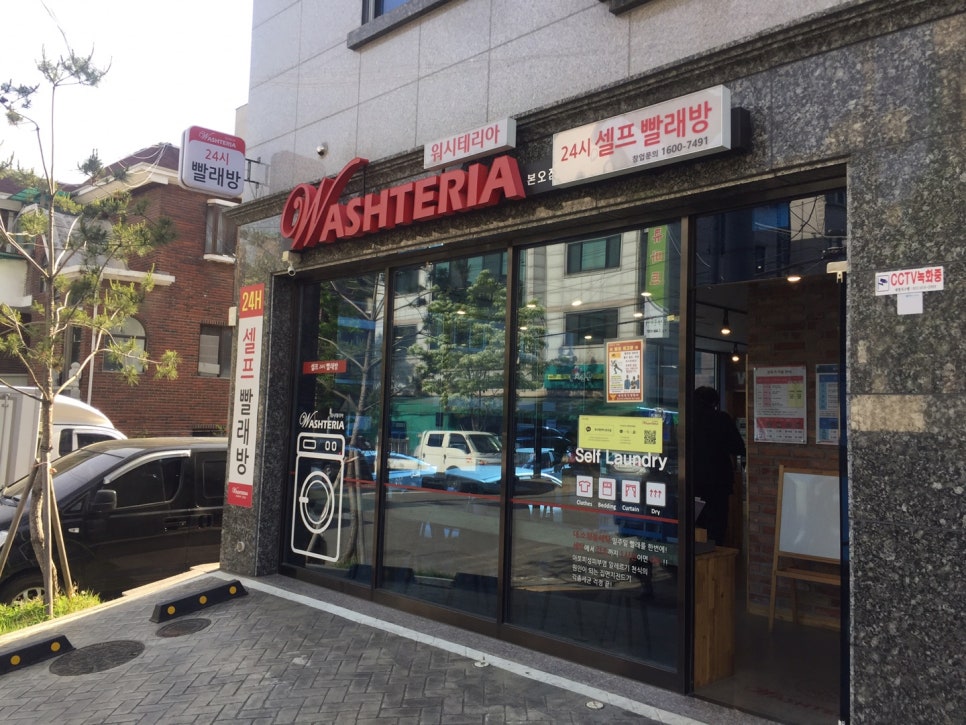 워시테리아본오점 이미지