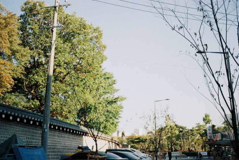 코닥군산 이미지