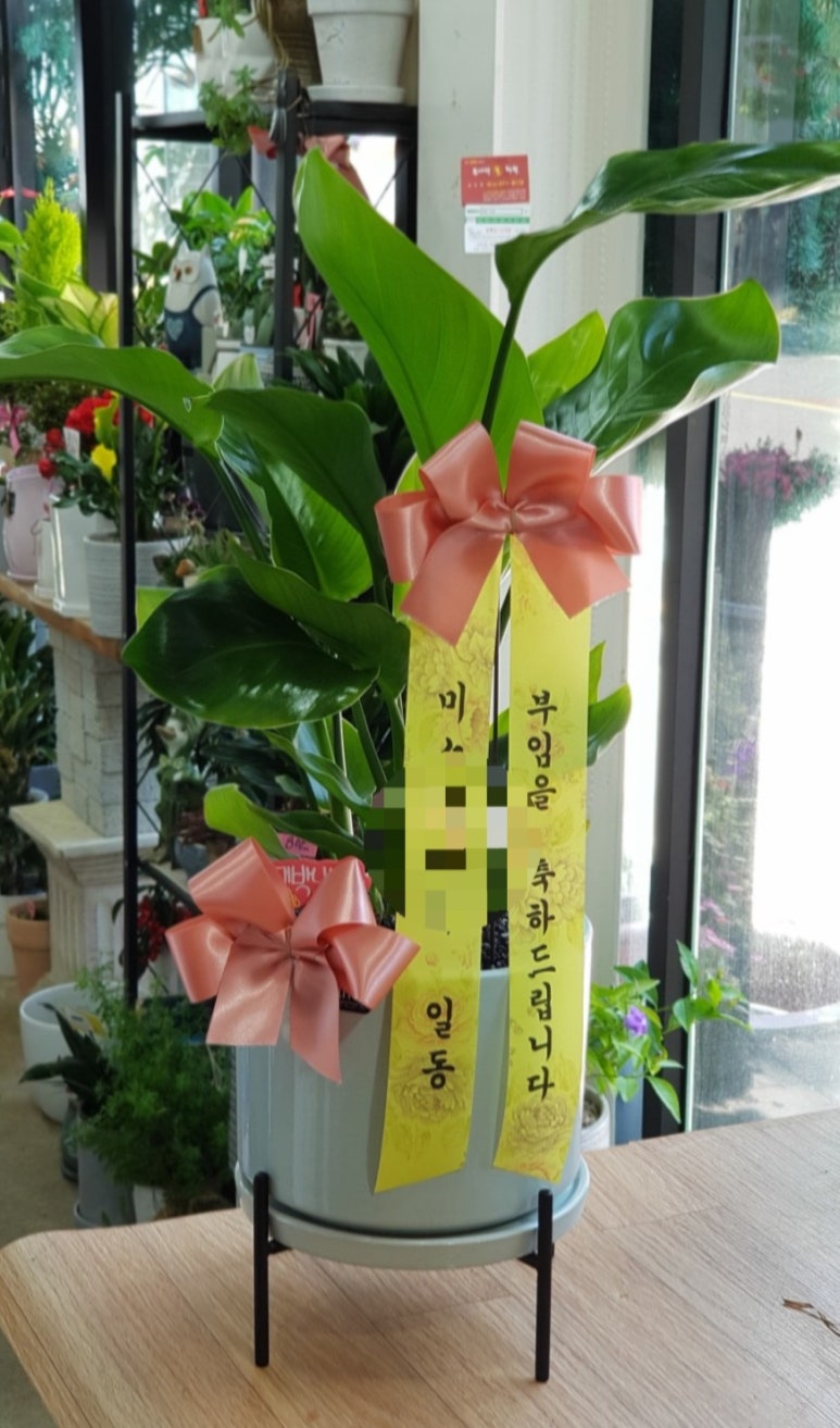 온누리꽃집 이미지