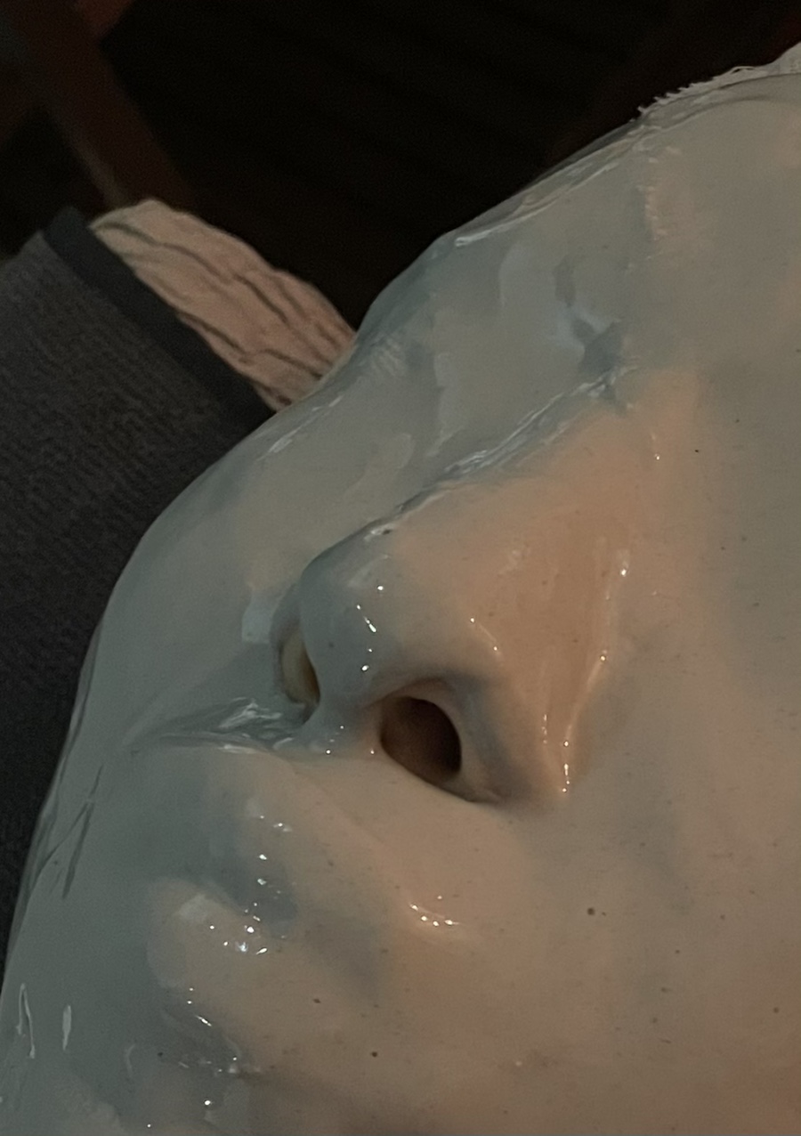 스파인더파리 이미지