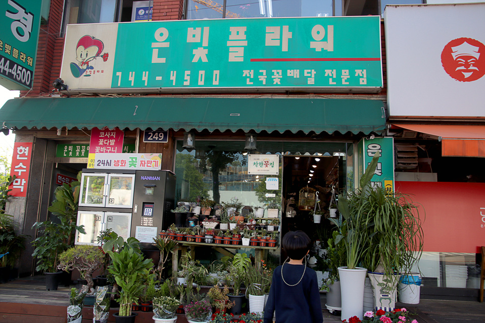 은빛플라워 이미지