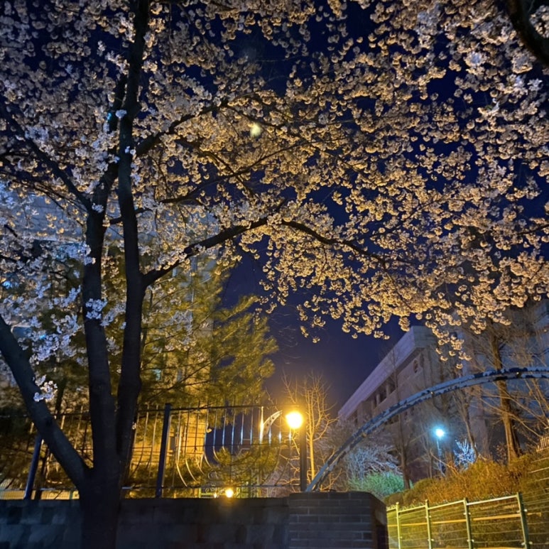 초심스터디카페양주광사점 이미지