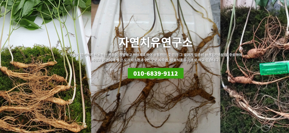 주식회사 자연과 개발 이미지