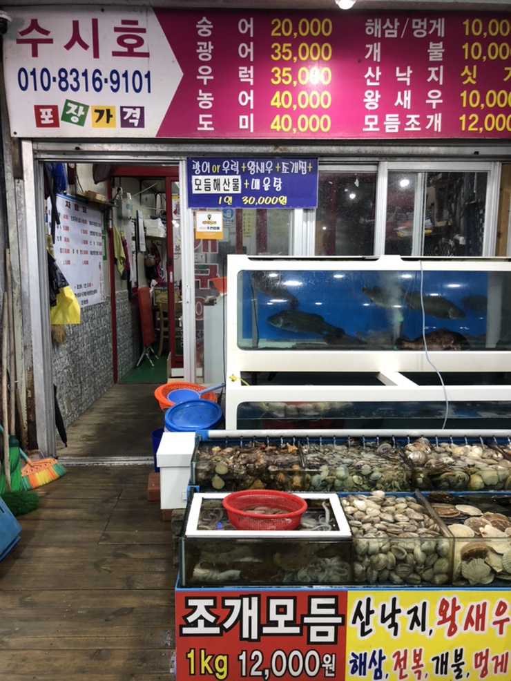 수시호 이미지