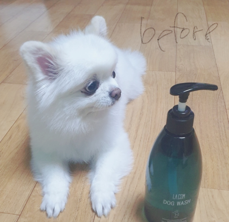 라컴 이미지