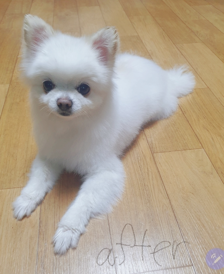 라컴 이미지