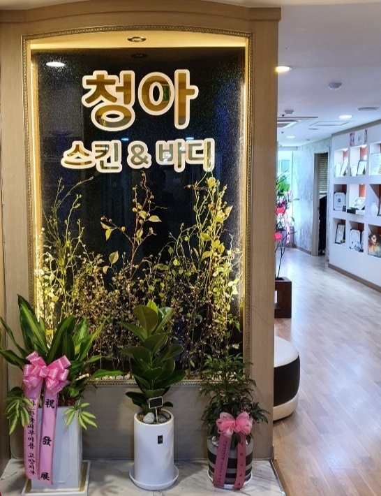 청아스킨앤바디 이미지