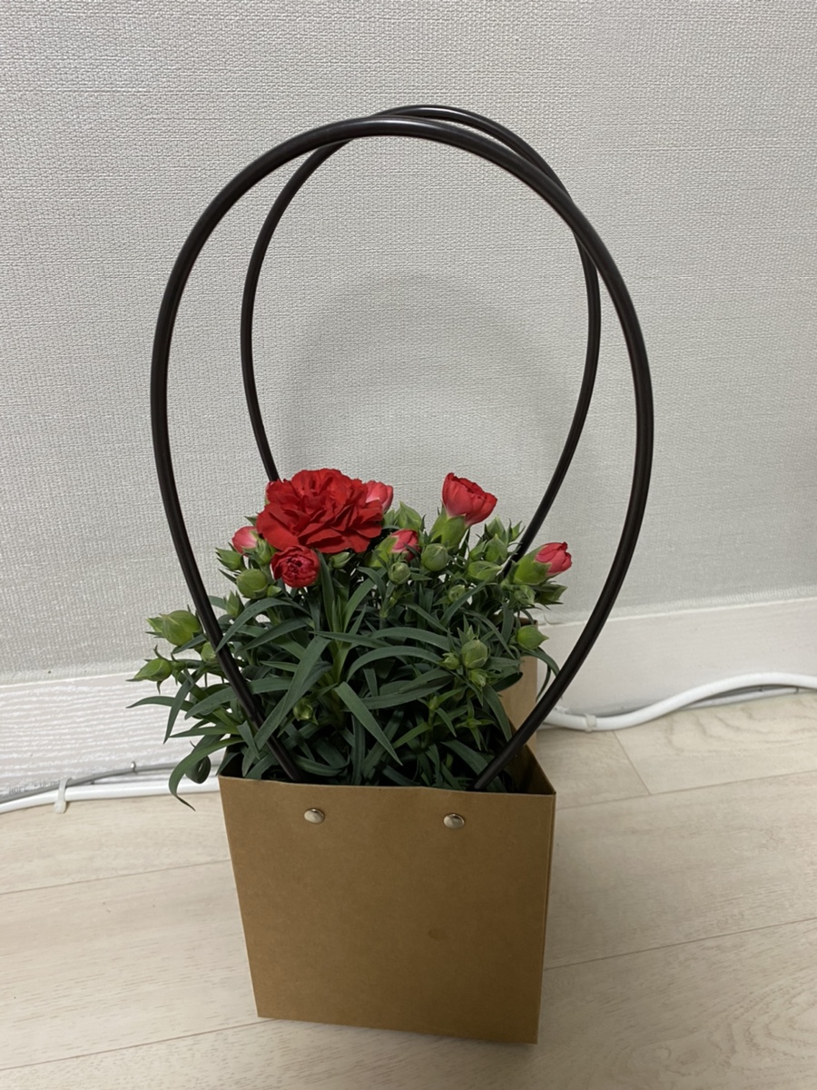 다인플라워 이미지