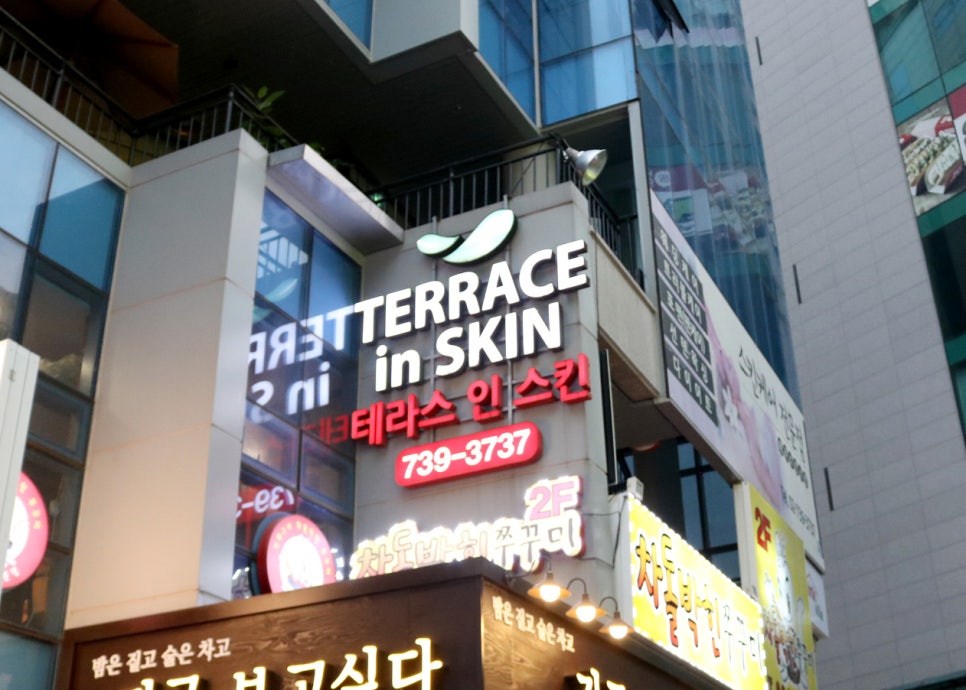 테라스 인 스킨 이미지