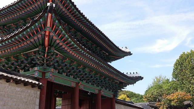 팔삼 이미지