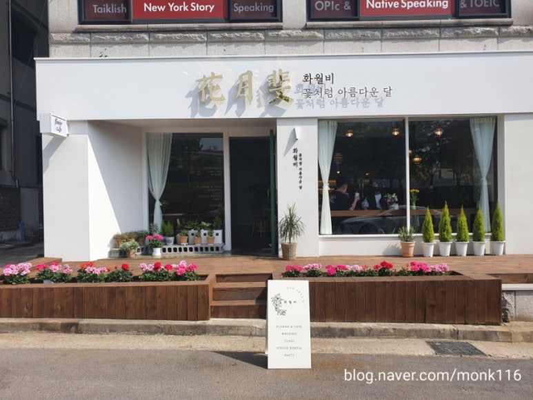 화월비 이미지