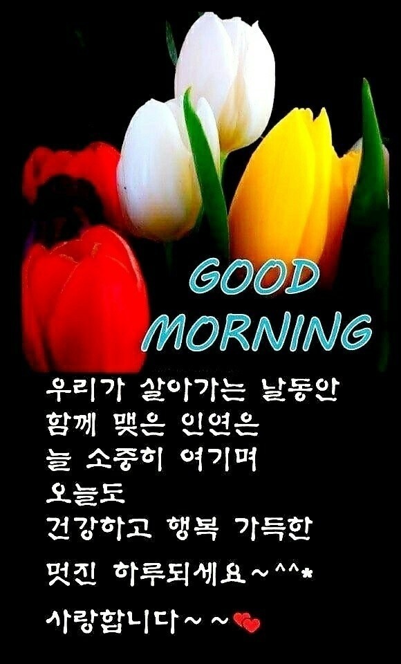 따삐오롯데 이미지