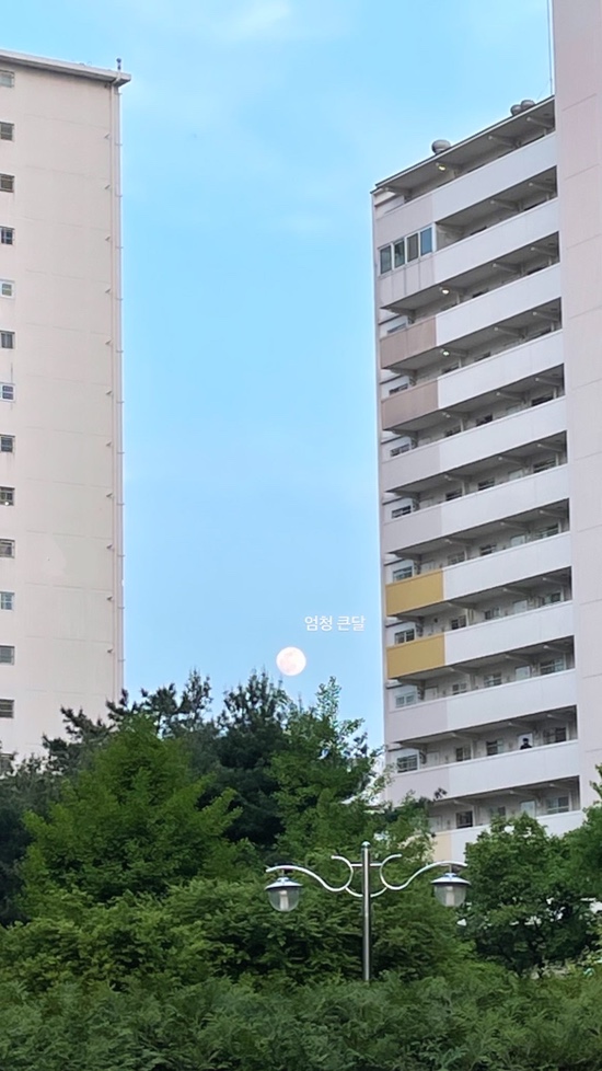 서촌닭갈비 충정로점 이미지