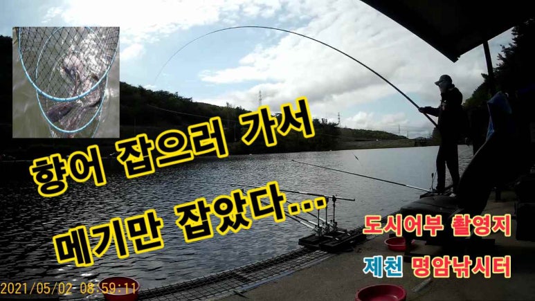향어시대 이미지