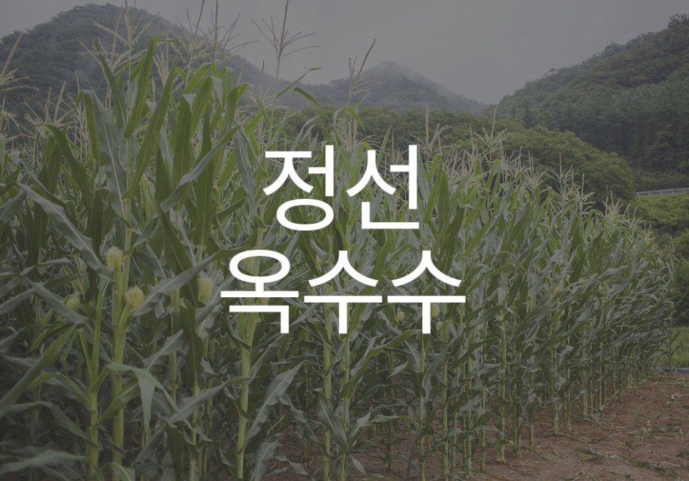 여량농협 찰옥수수 가공공장 이미지