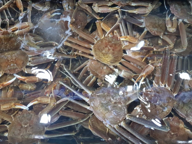 강동수산 이미지