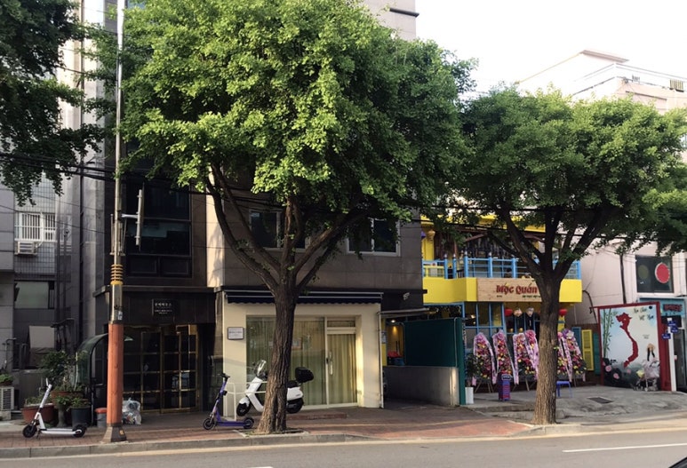 알로하올라 이미지